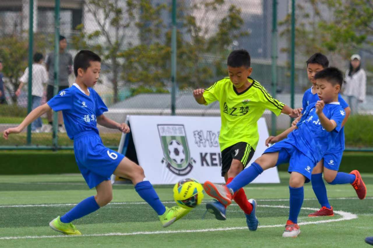 杨瀚森在洛 杨瀚森在洛