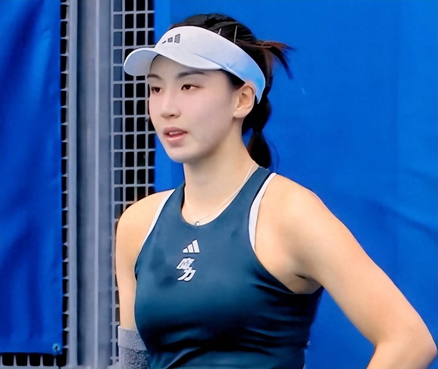 如果他希望 如果他希望