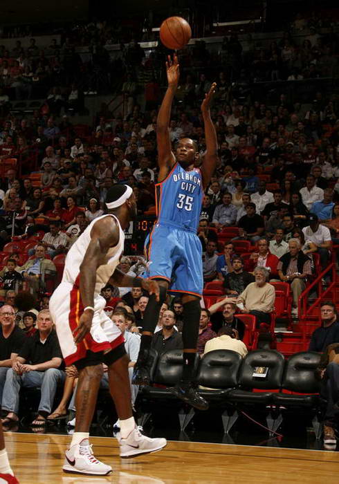 森林狼豪取 森林狼豪取