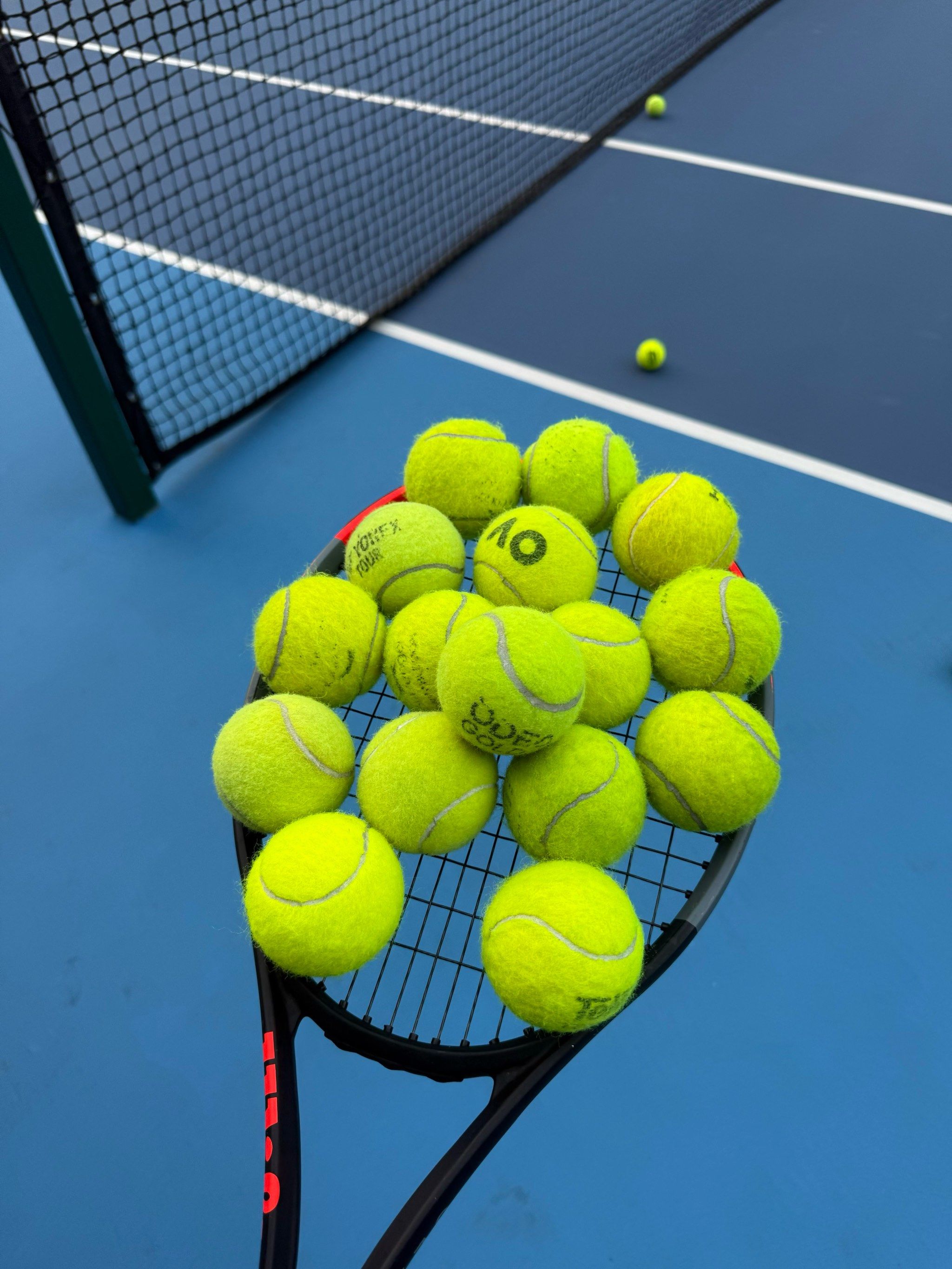 的卓越贡献 的卓越贡献