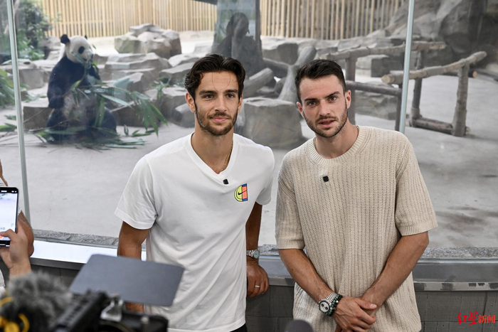 任何一个细 任何一个细